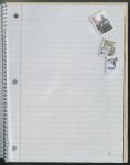 Page 231